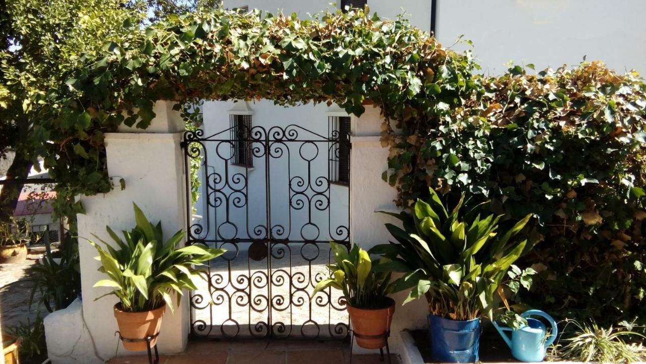 Don Claudio Guest House Grazalema Eksteriør bilde