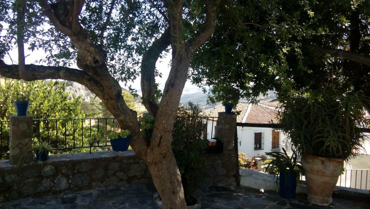 Don Claudio Guest House Grazalema Eksteriør bilde